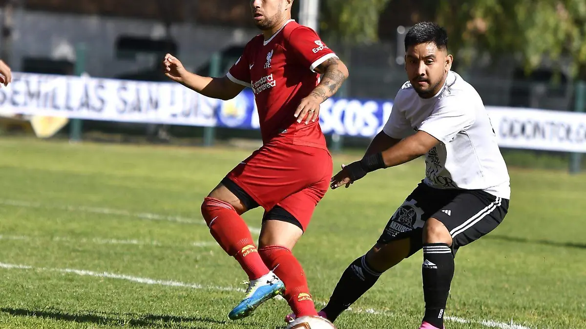 Liga Tangamanga (3)