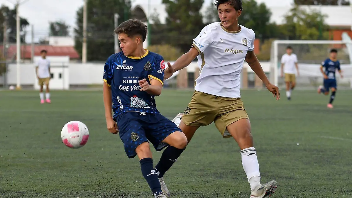 Potosinos FC vs San Francisco