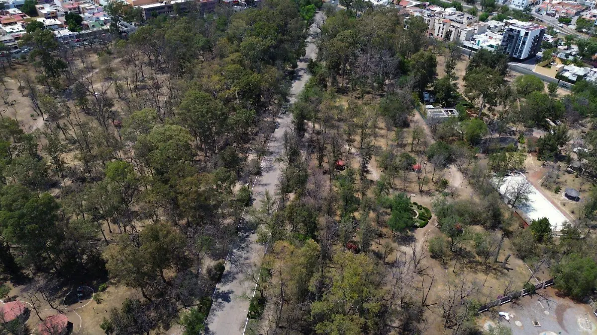 Parque de Morales (3)