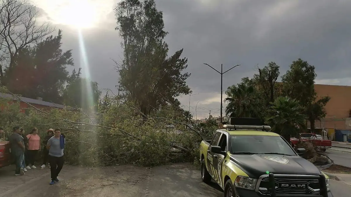 ventarrones en SLP (4)