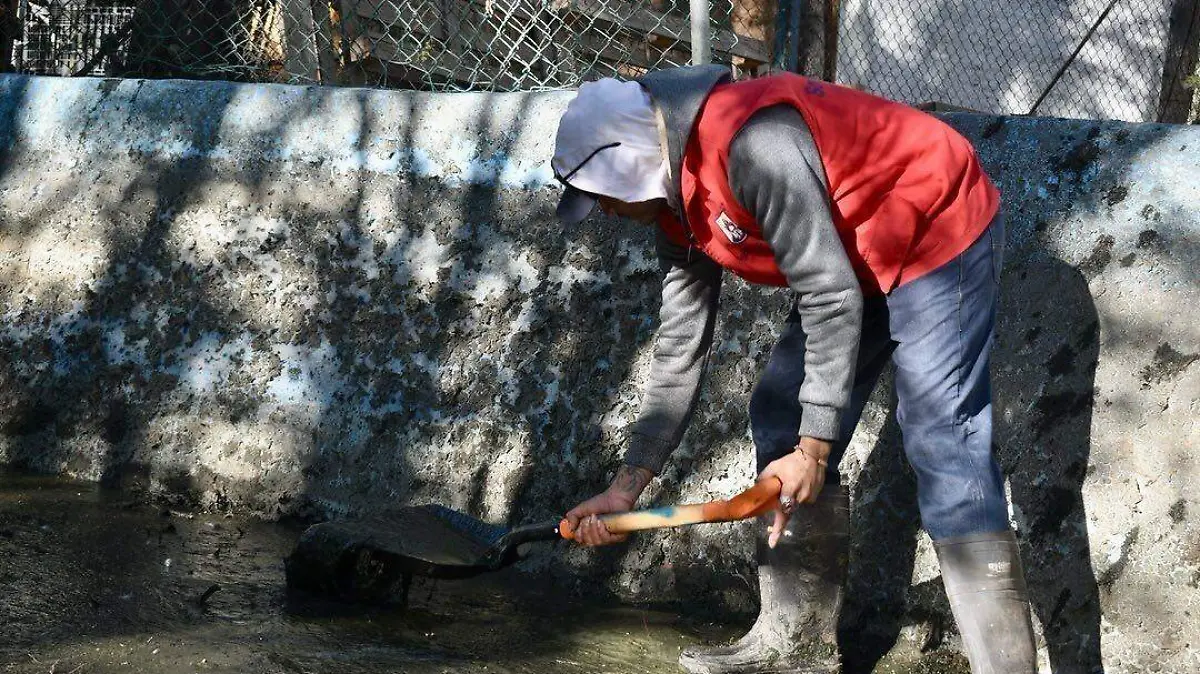 limpieza y riego en parque “De Morales” (3)