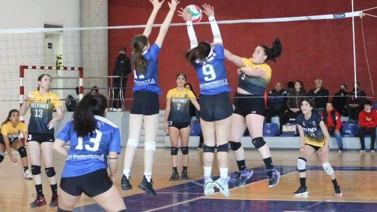 Visores de la Federación Mexicana de Voleibol  (1)