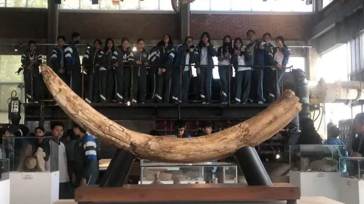 museo de la evolución 2