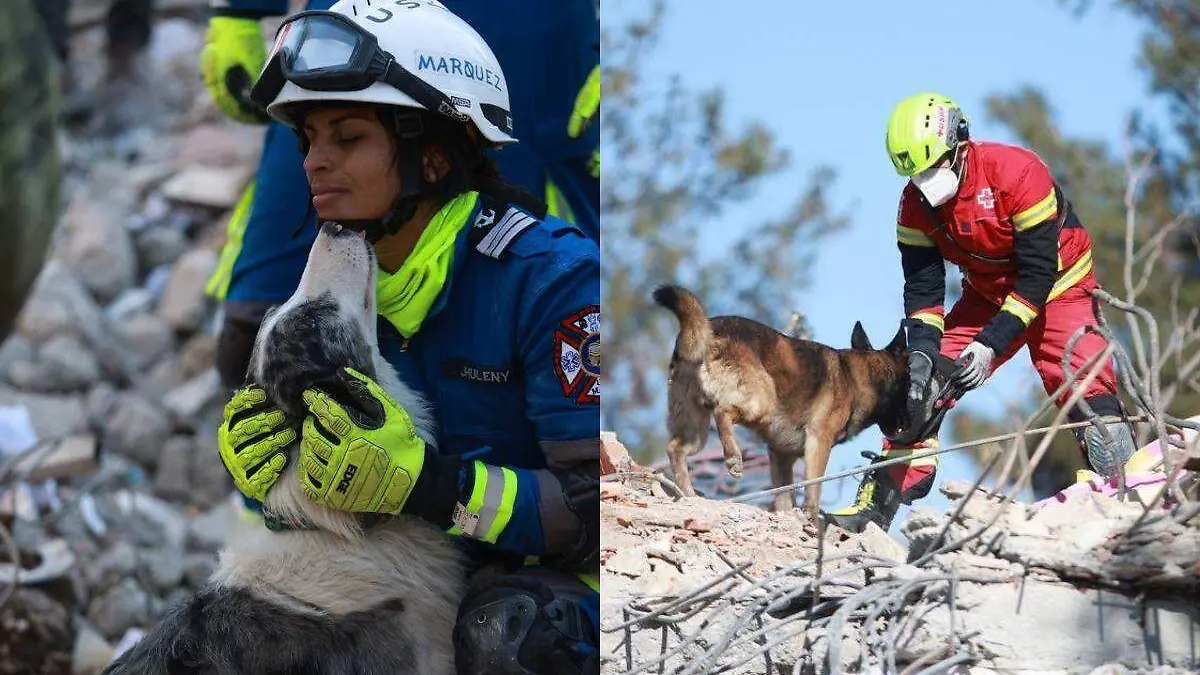 Brigadistas mexicanos en Turquía logran rescate de 3 cuerpos; ya trabajan en 70 edificios