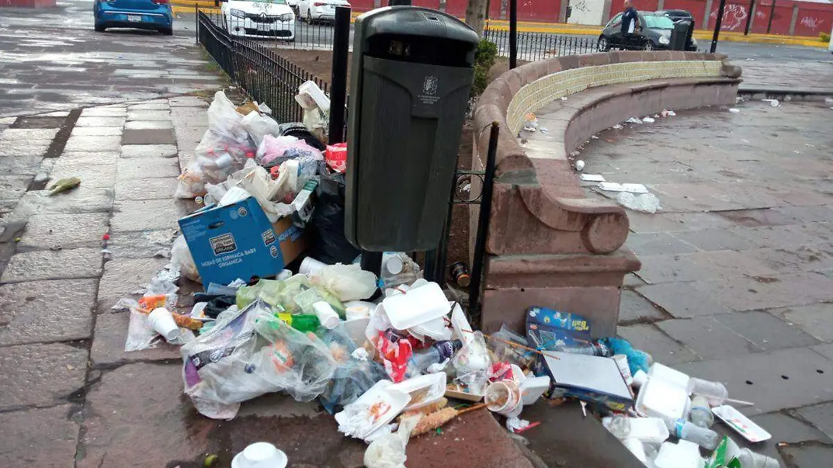 Basura en la calzada