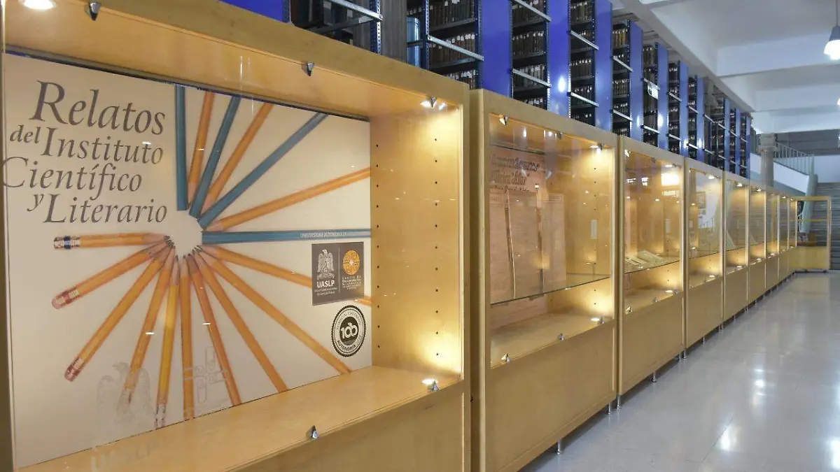 biblioteca bibliotecario  (20)