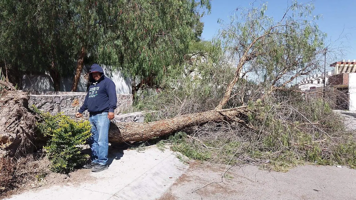 INTENSIFICAN MANTENIMIENTO DE ÁREAS VERDES EN VILLA DE POZOS 5