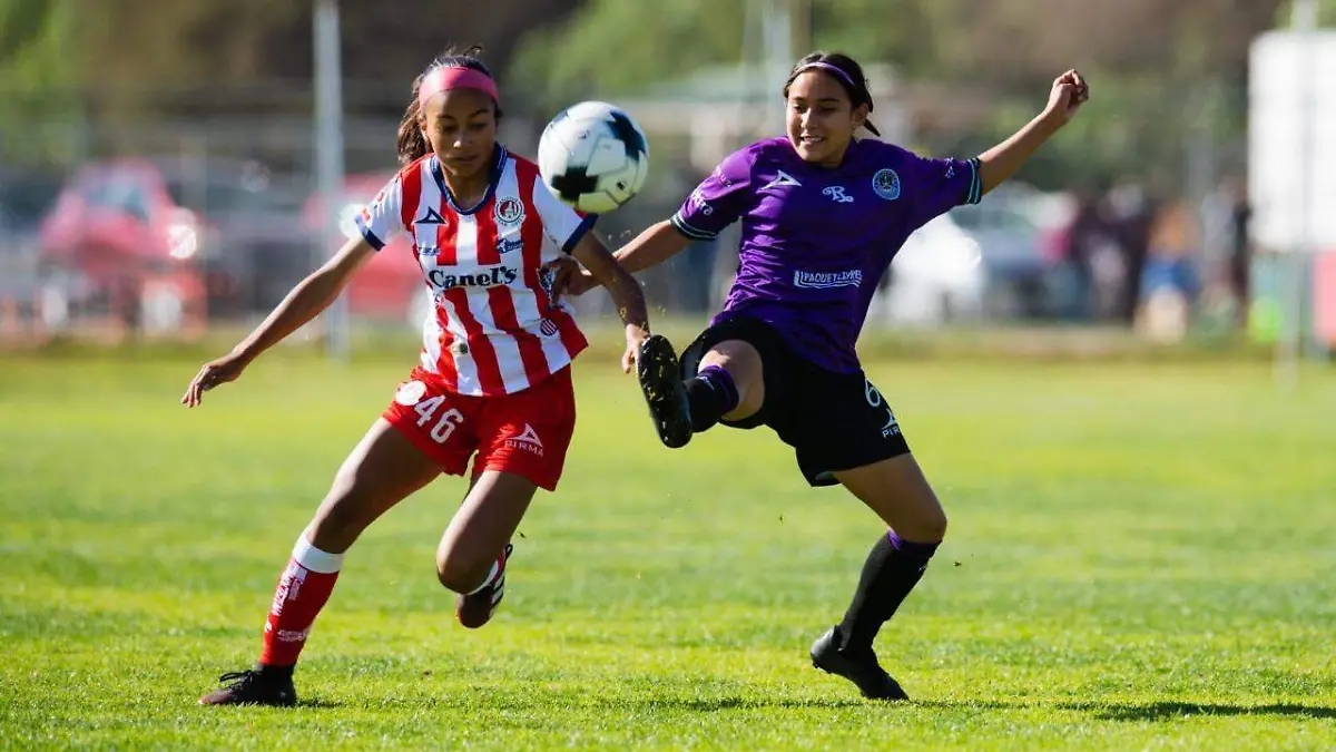 30842ee6-0f4c-475a-8638-1fe90a834523