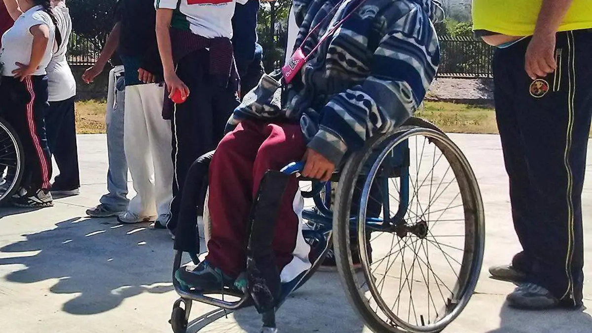discapacidad 66