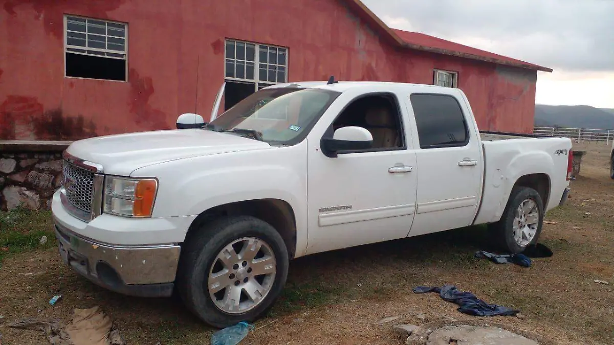 Célula criminal (3)