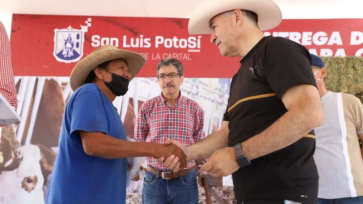 apoyos a productores  1