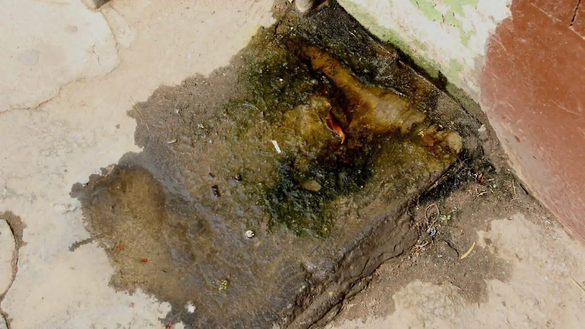 Basura en calles de SLP (1)