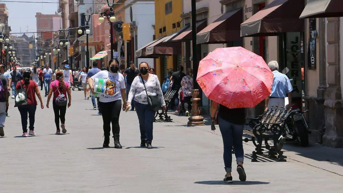 Plantilla - 2023-06-03T122012.221