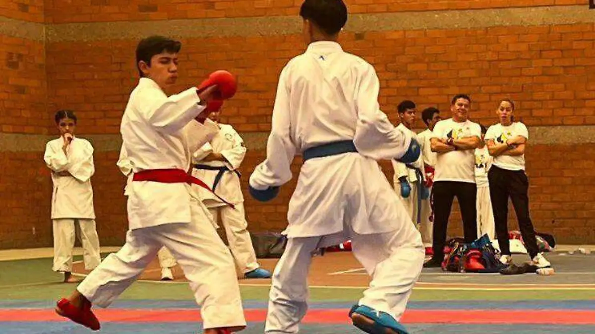 karate 1