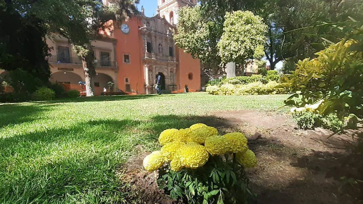 jardin jardines del Centro Histórico 