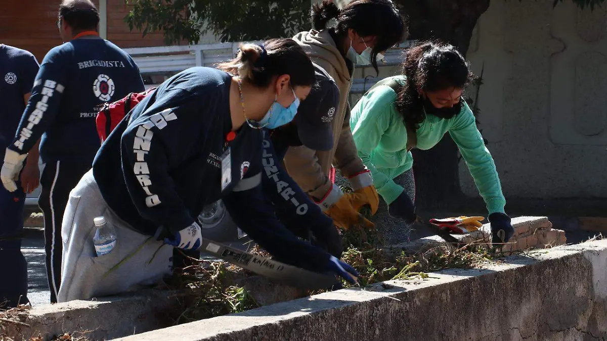 domingo de pilas (2)
