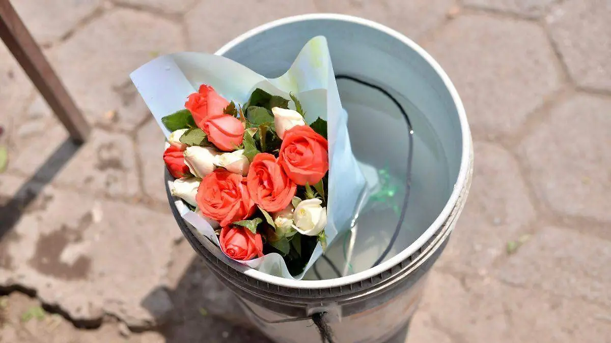Rosas, el producto más vendido durante el Día de las madres