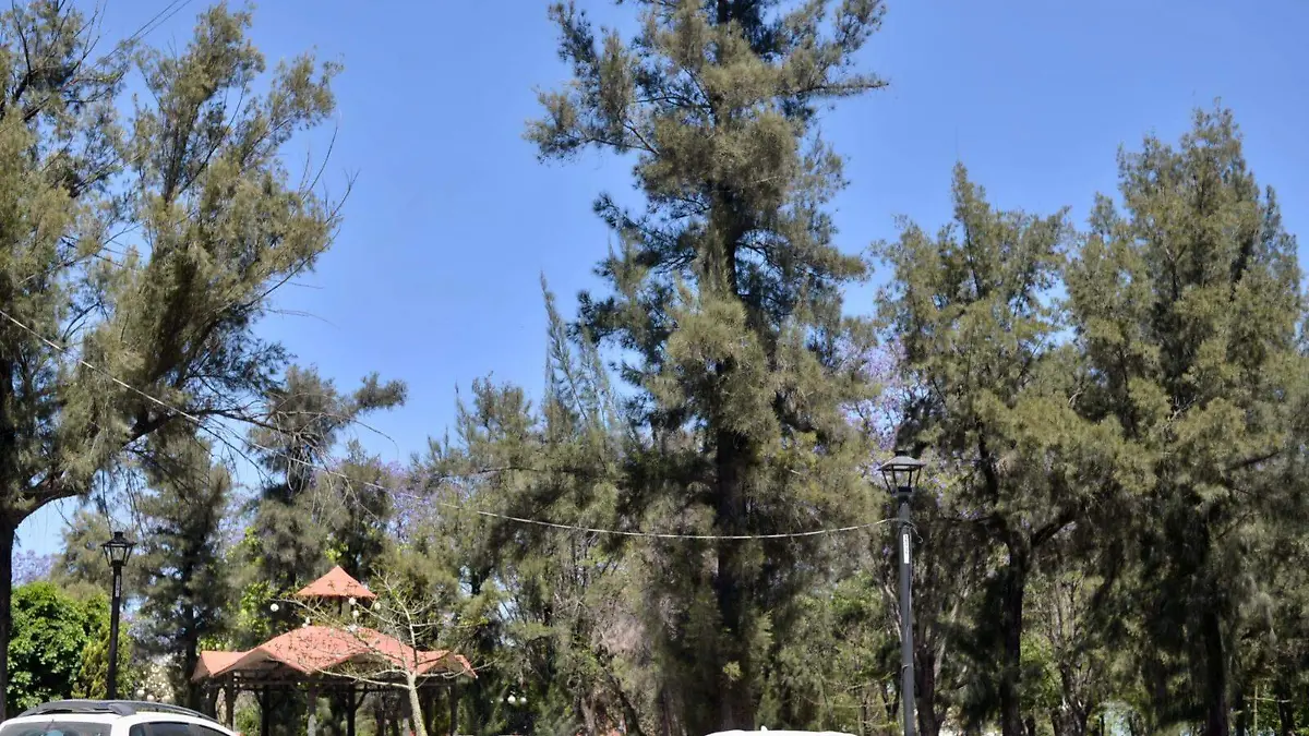 Alameda Juan Sarabia (1)
