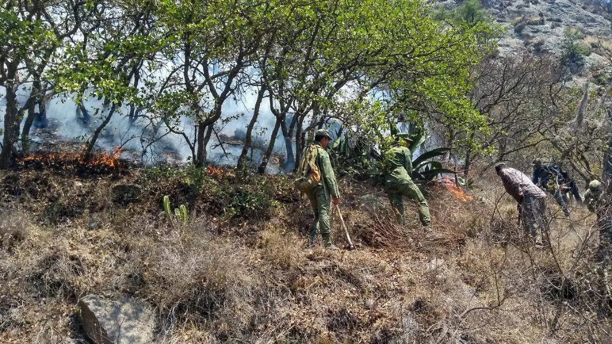incendios