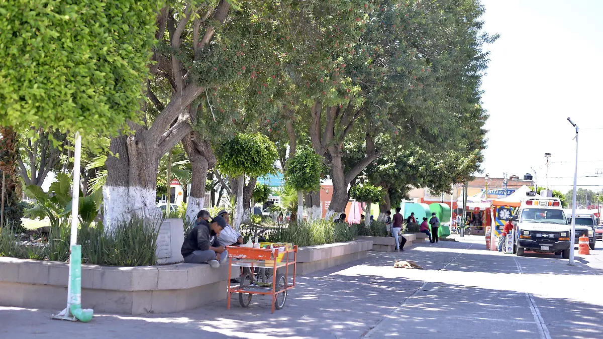 Reabren plaza soledad (1)