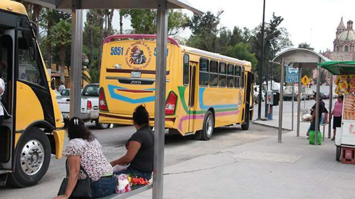 urbanos camiones parabuses transporte publico