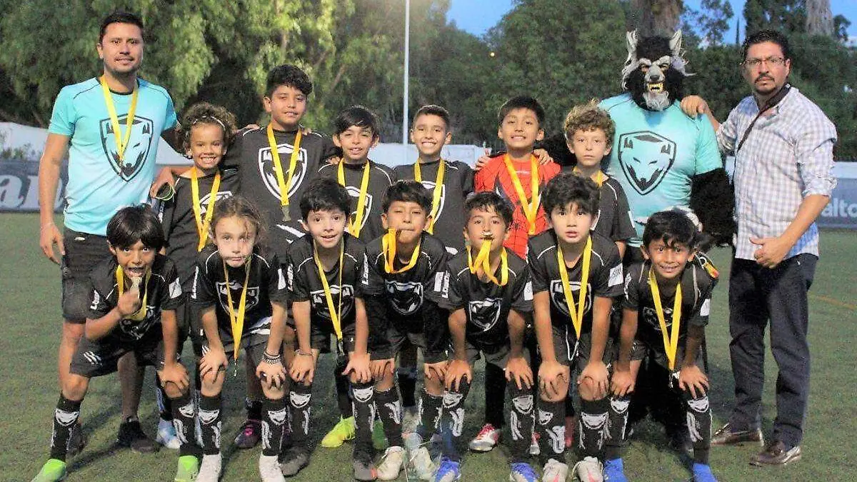 Plantilla - 2023-08-01T132451.573