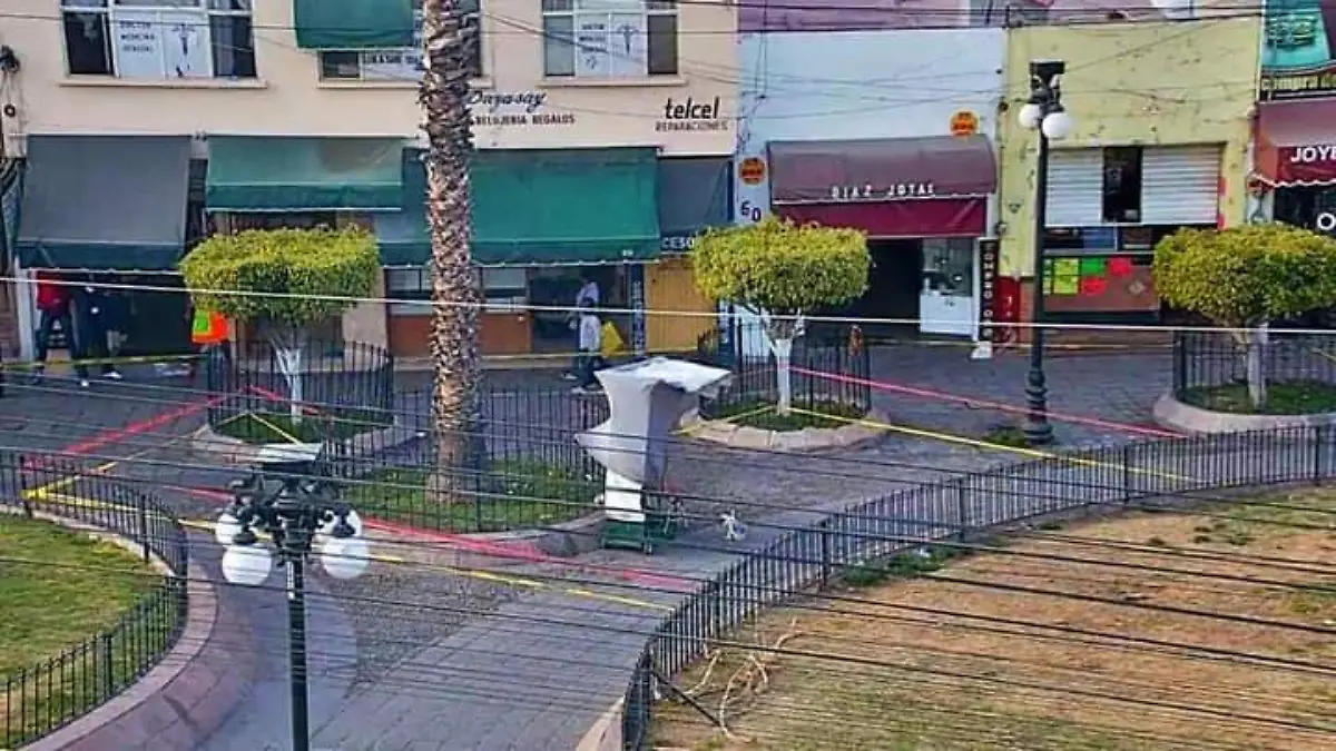 enjambre de abejas (1)