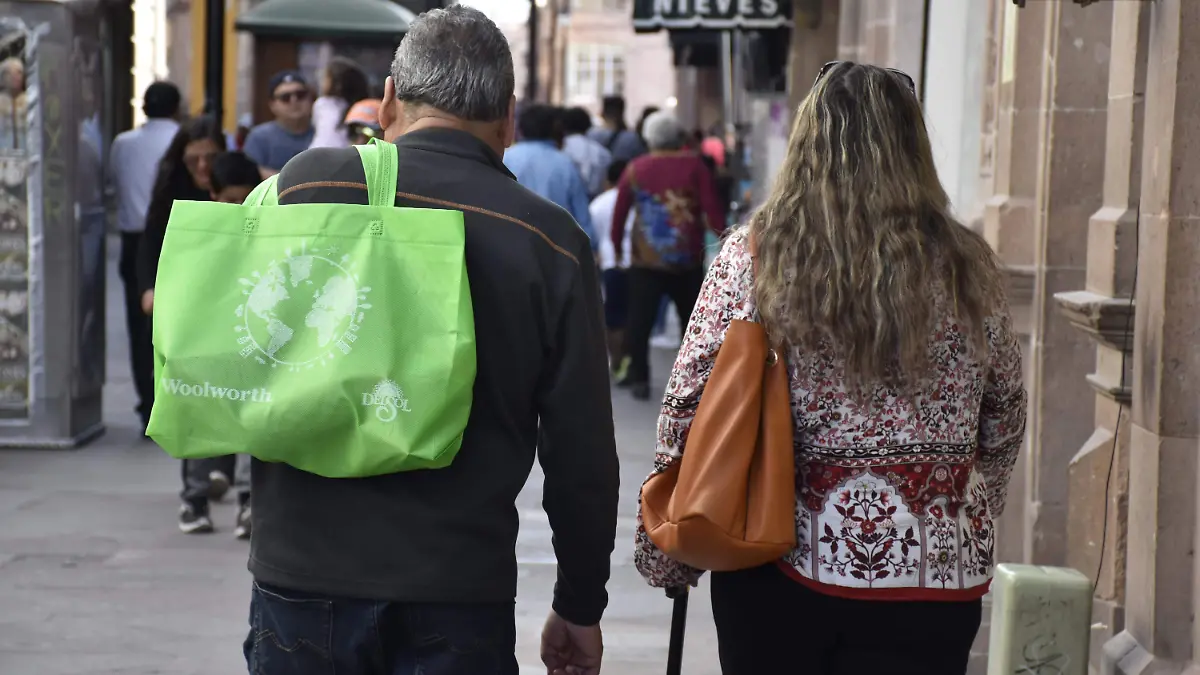 bolsa reusable2