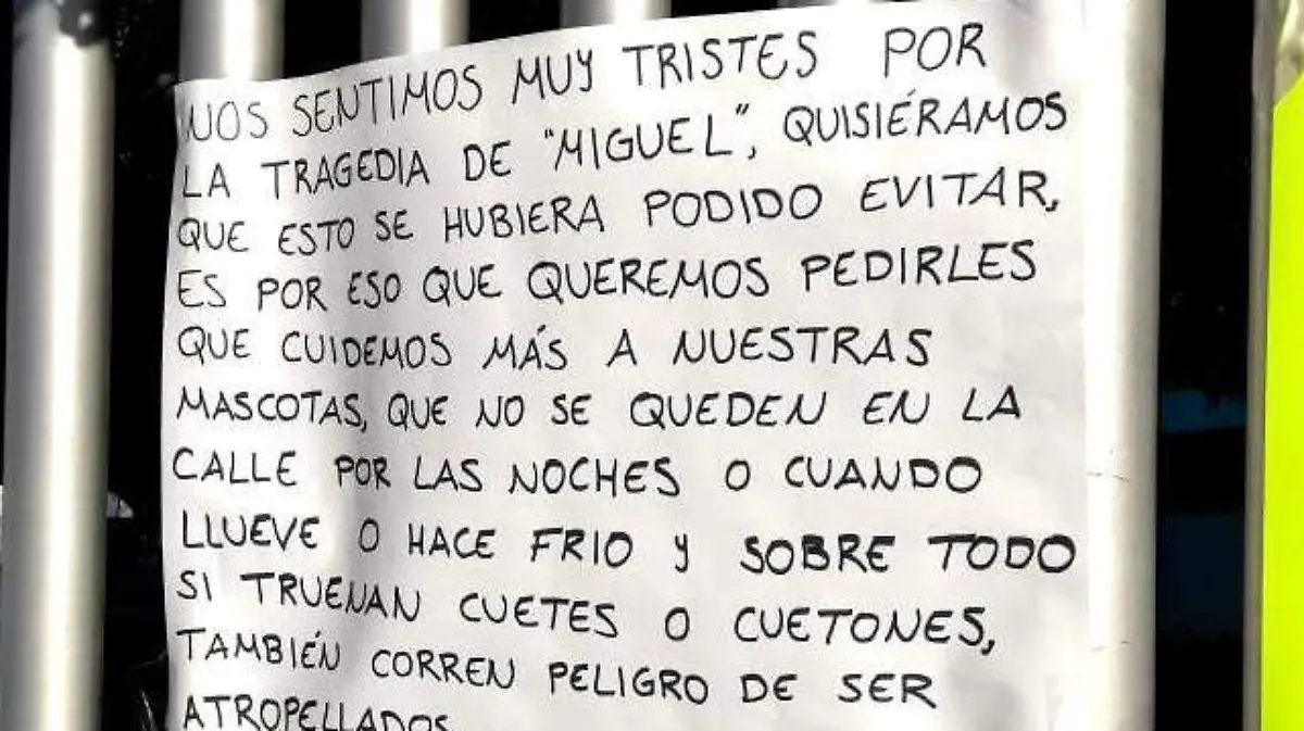 Miguelito justicia  3