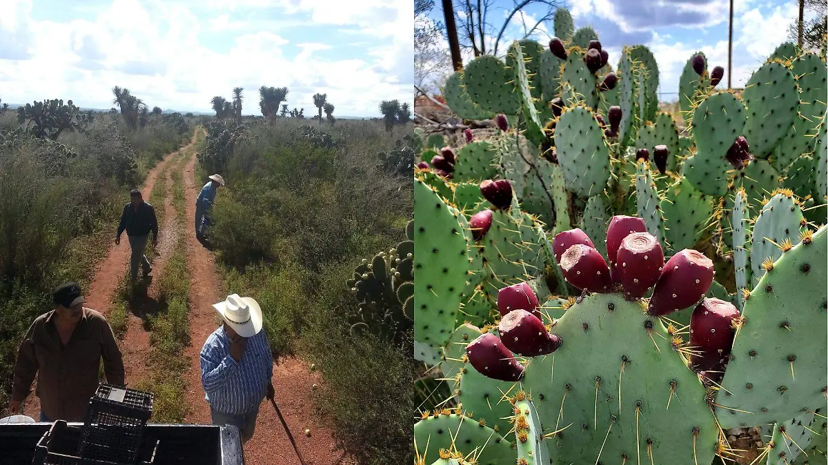 bf22bf98-706d-4aa9-959d-93864b3acec7