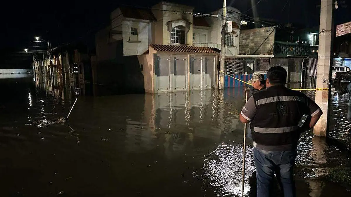 Plantilla - 2023-05-22T125507.557