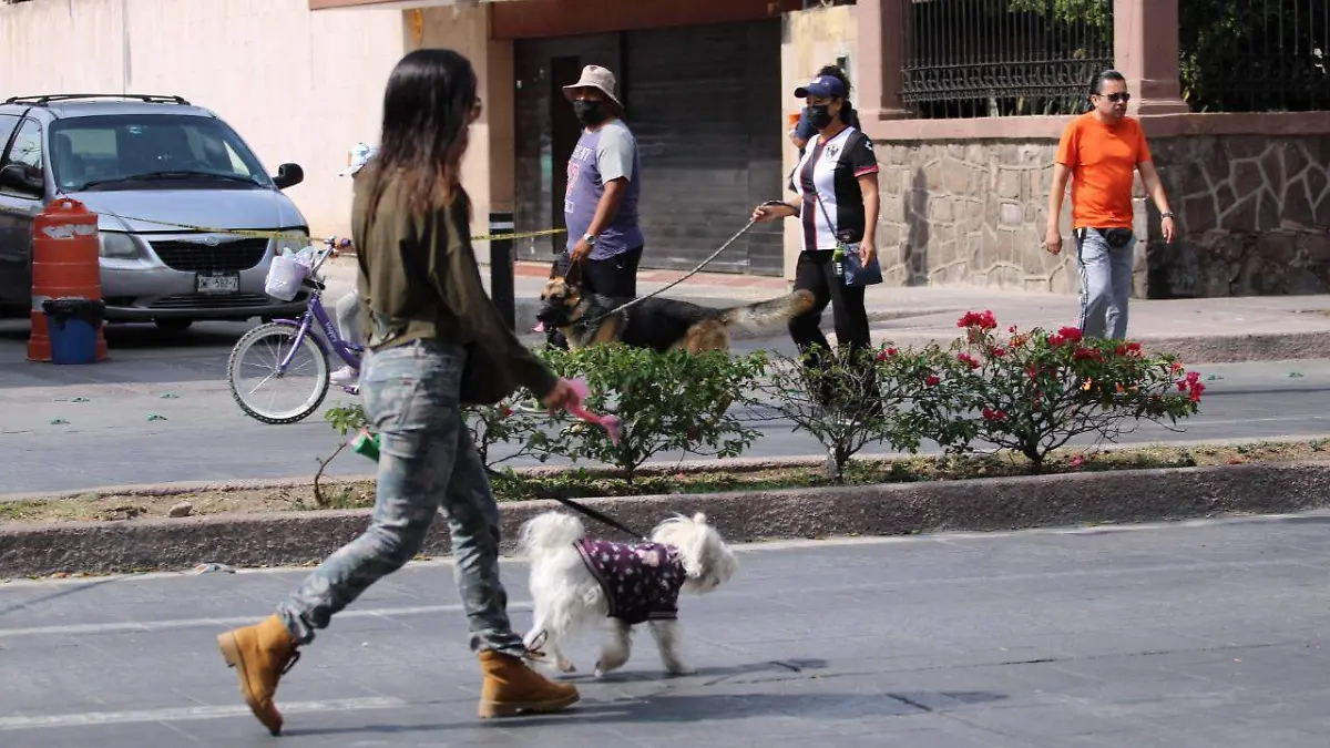 8a10864a-3d86-4ac1-8cdb-b11cc4c2ebcf