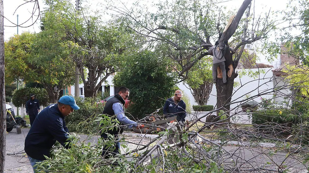 CONTINÚA ATENCIÓN A REPORTES POR OPERATIVO “FUERTES VIENTOS 2020” 2 