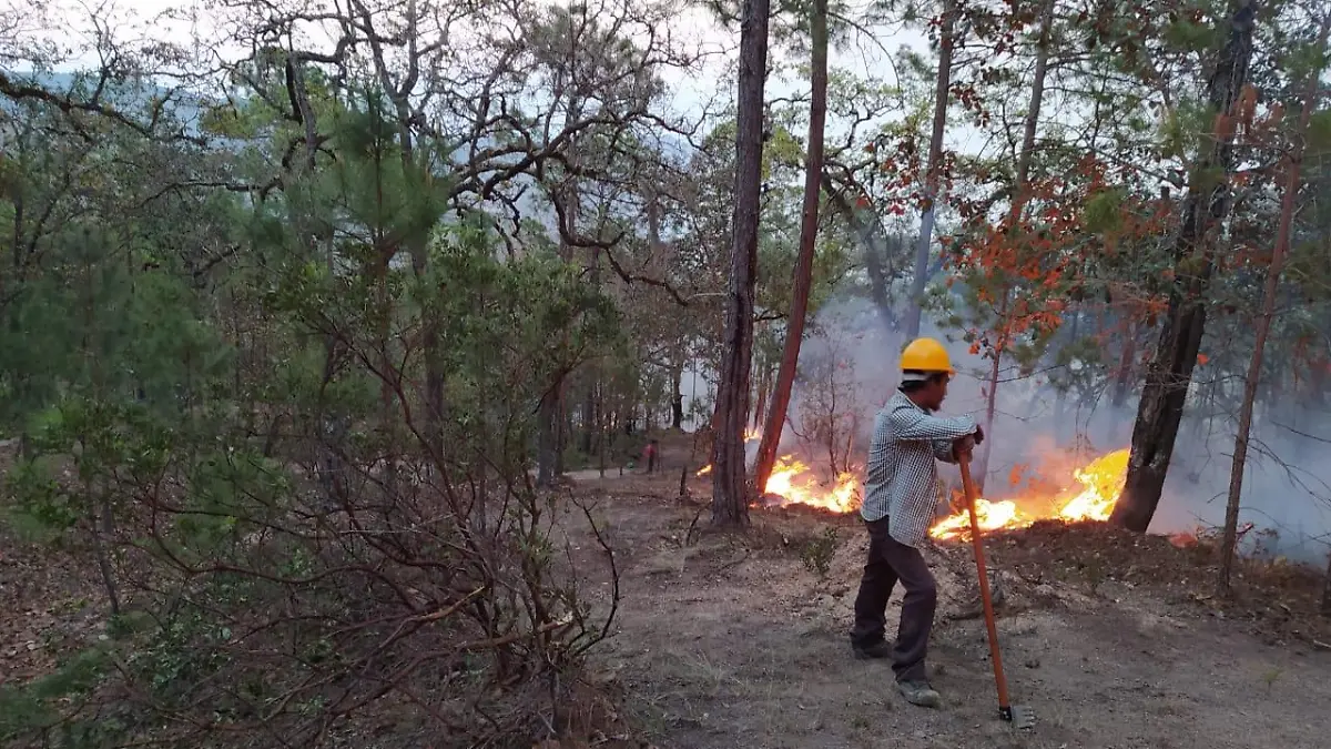 incendio en Santa María del Río sierra de Bagres Sierra santa maria del rio