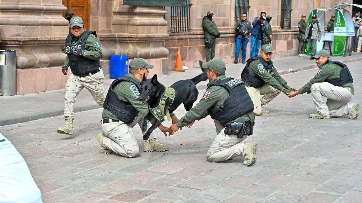 4e416f2f-015e-4456-a61e-10f8f0247875