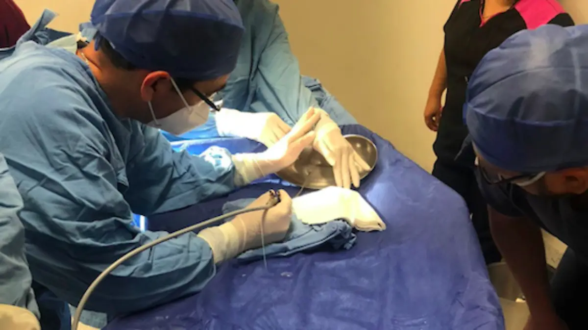 Captura de pantalla 2022-03-06 a la(s) 17.44.36