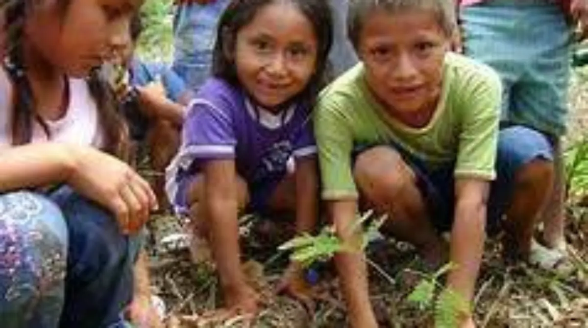 b196f7a1-95d7-451e-9d2b-d51d0a35a3e2