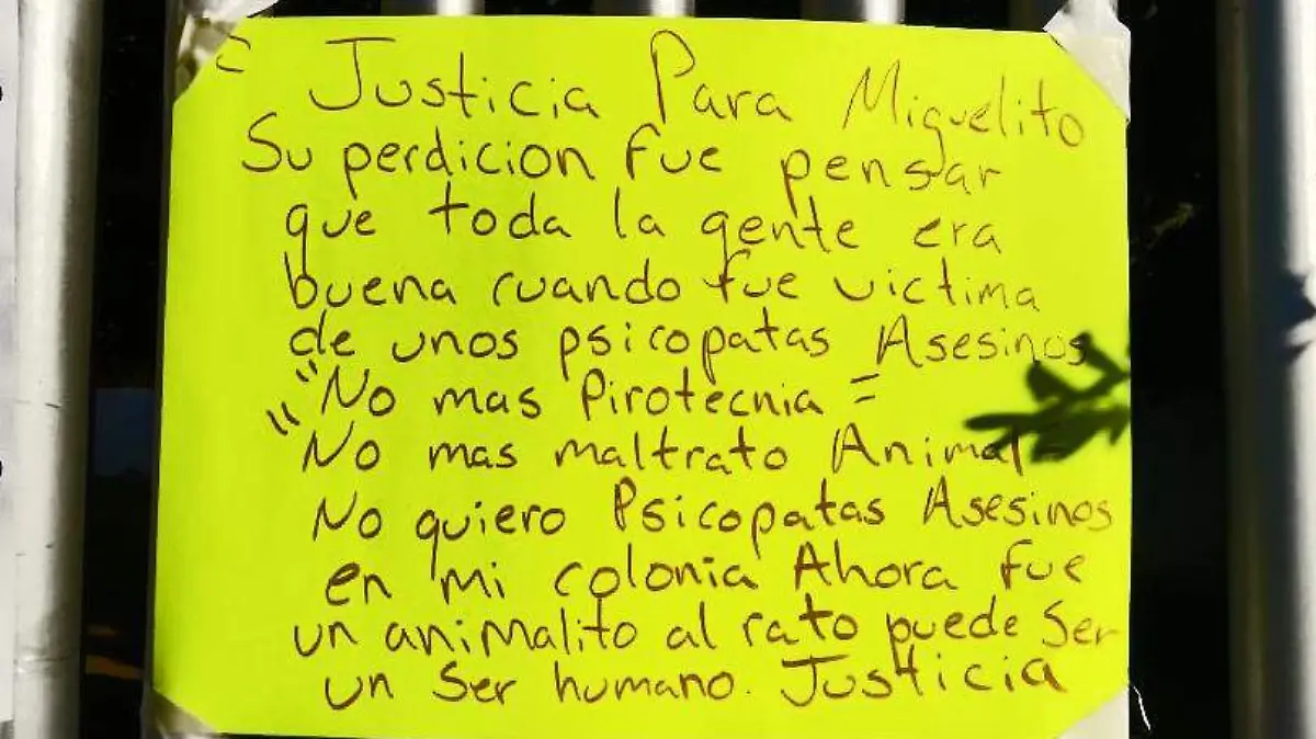 Miguelito justicia  4