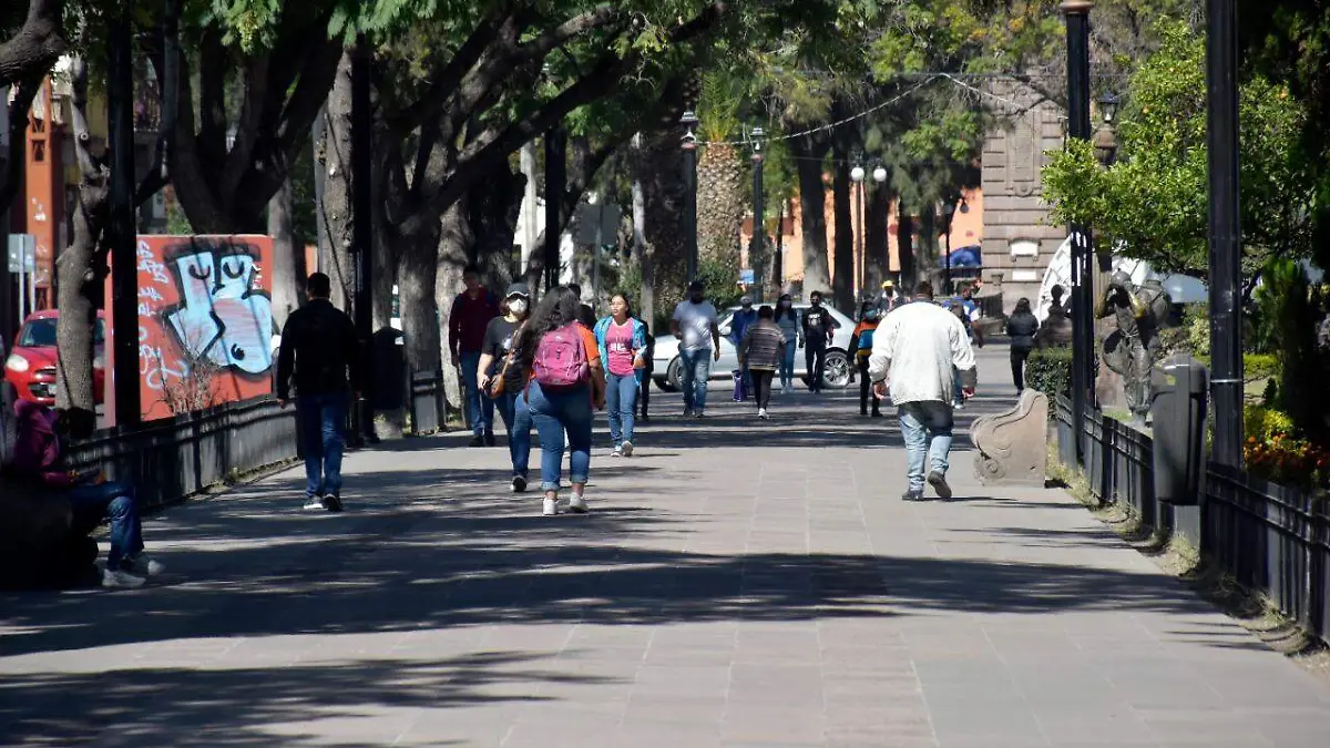 calzada de guadalupe Cris robledo