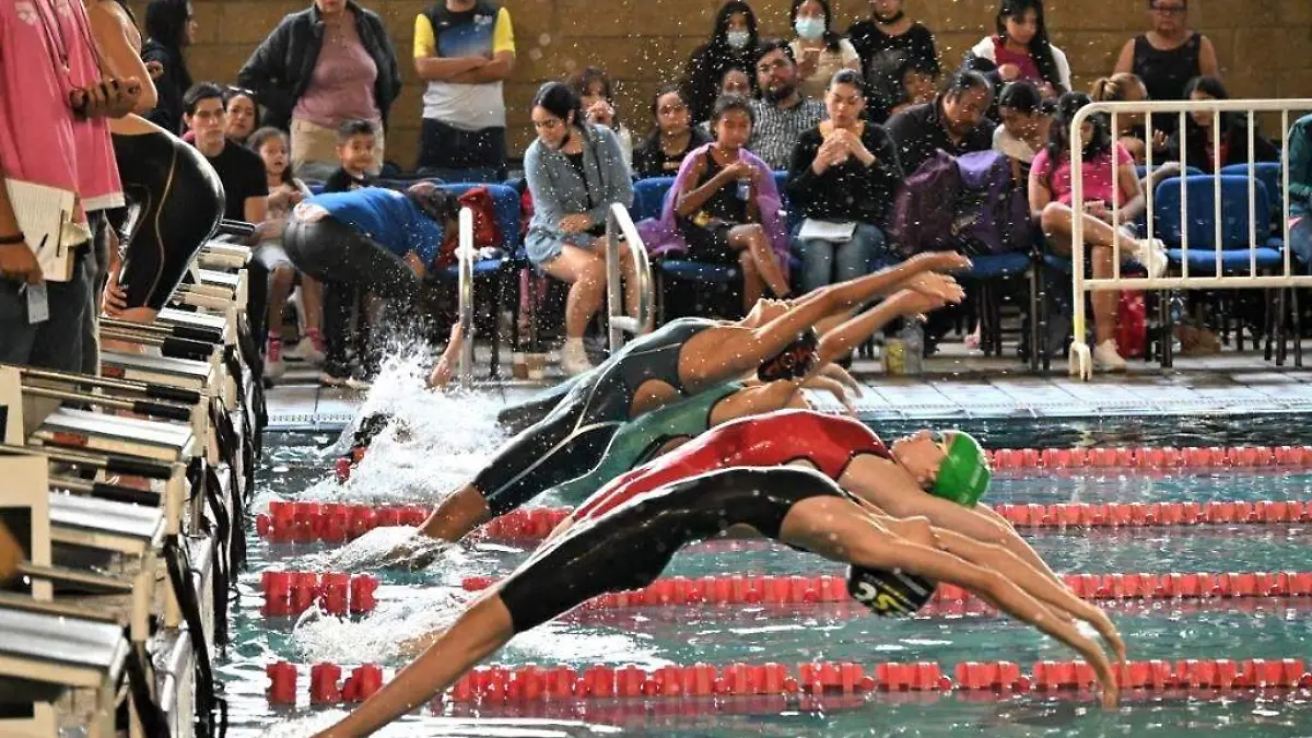 natación curso largo