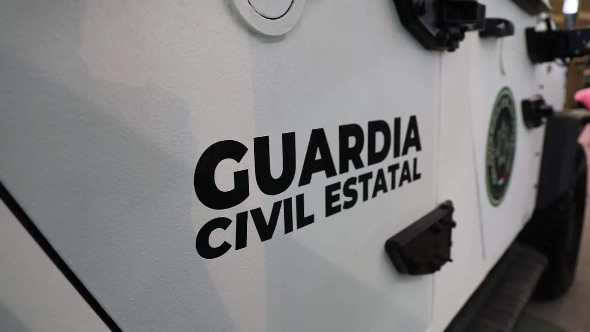 Guadia Civil Estatal GCE gce logo guardia civil estatal