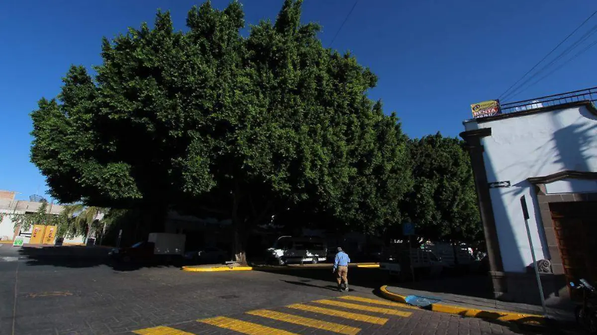 e1c01443-d248-4867-89a7-c0455b248236