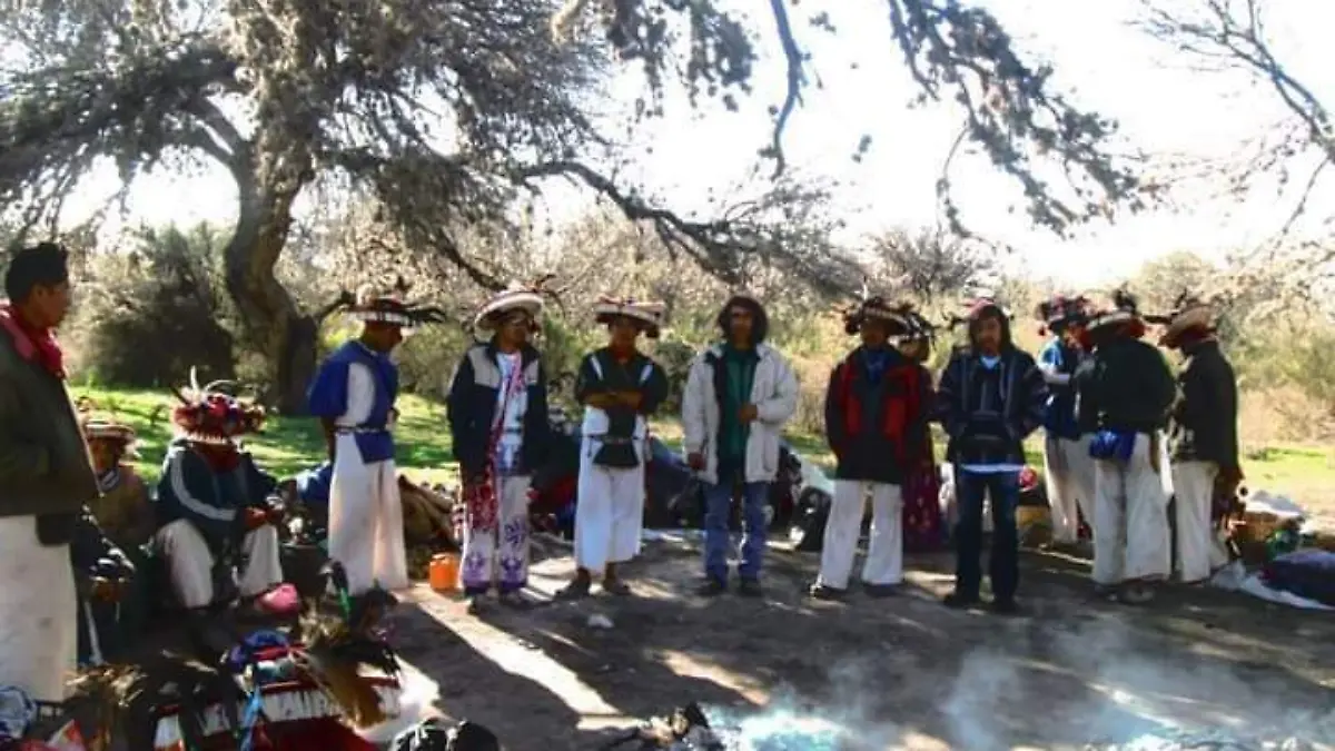 Colectivo Ruta Sauzalito Wirikuta entrega 1