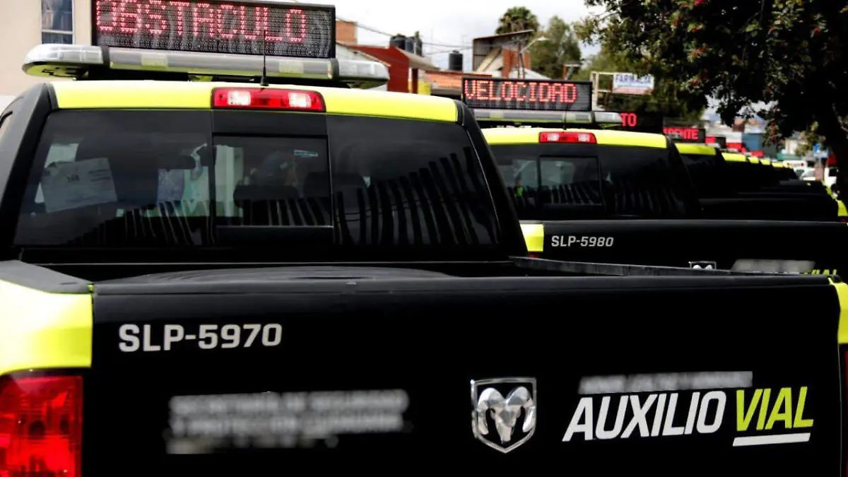 Secretaría de Seguridad y Protección Ciudadana 3