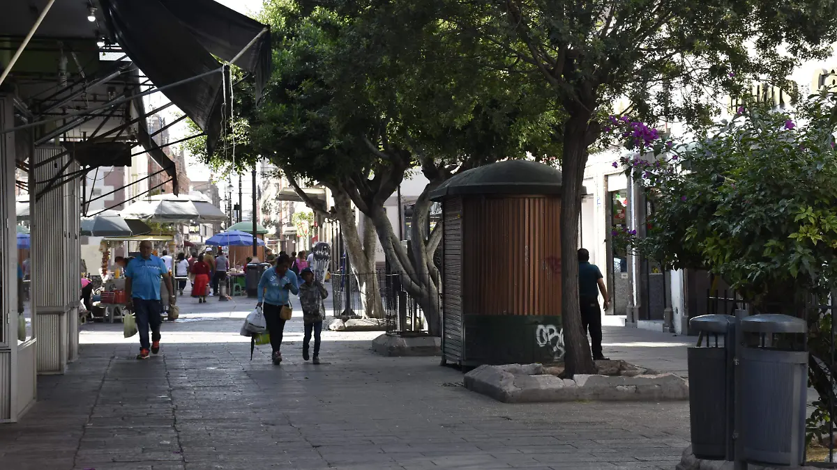 centro solo por dia festivo2