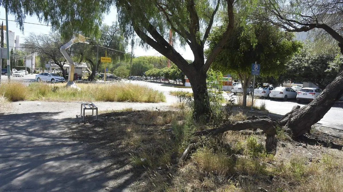 avenida Jesús Goytortúa (2)