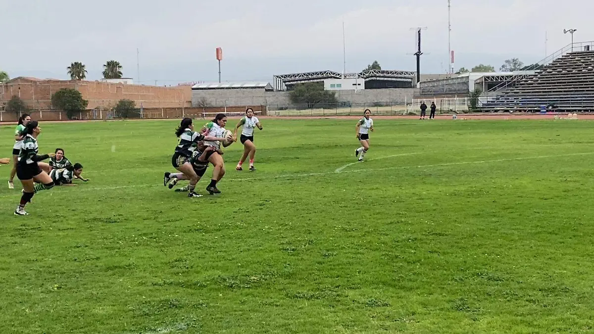 rugby  (1)