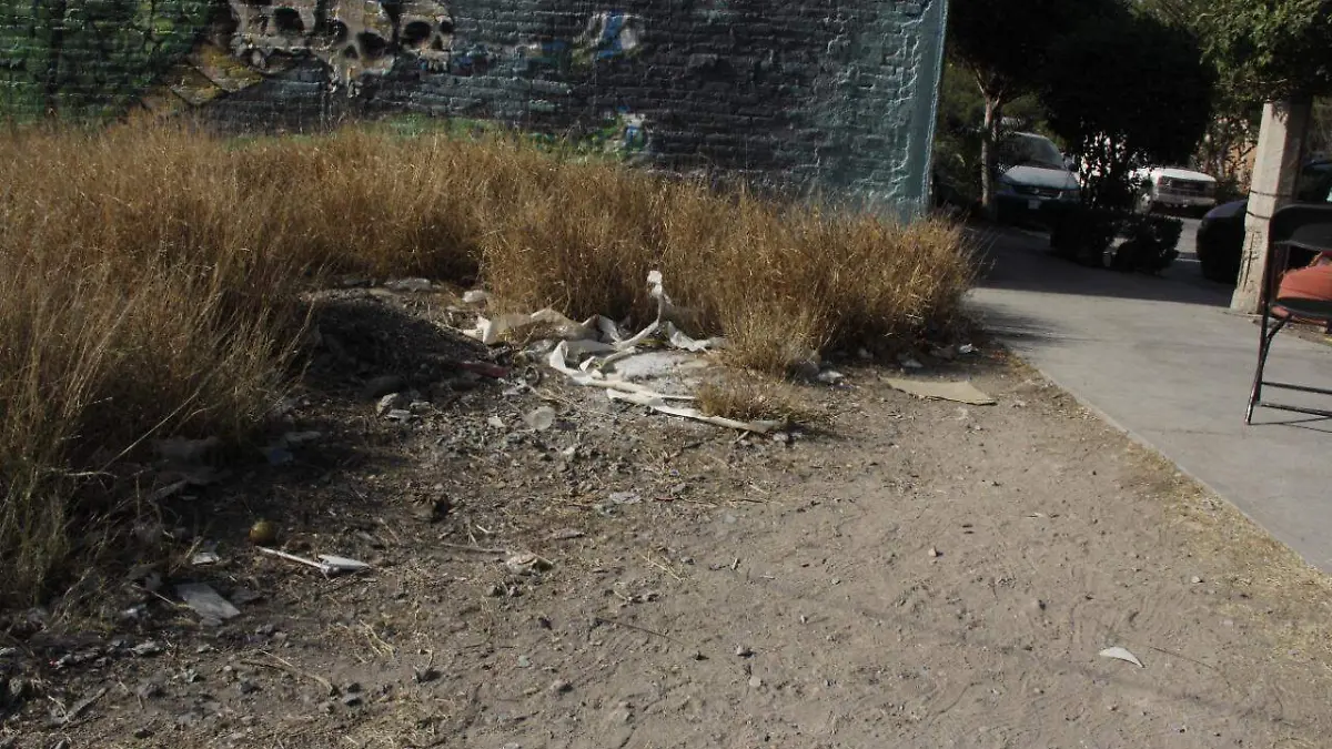 Baldíos Terrenos Basura  