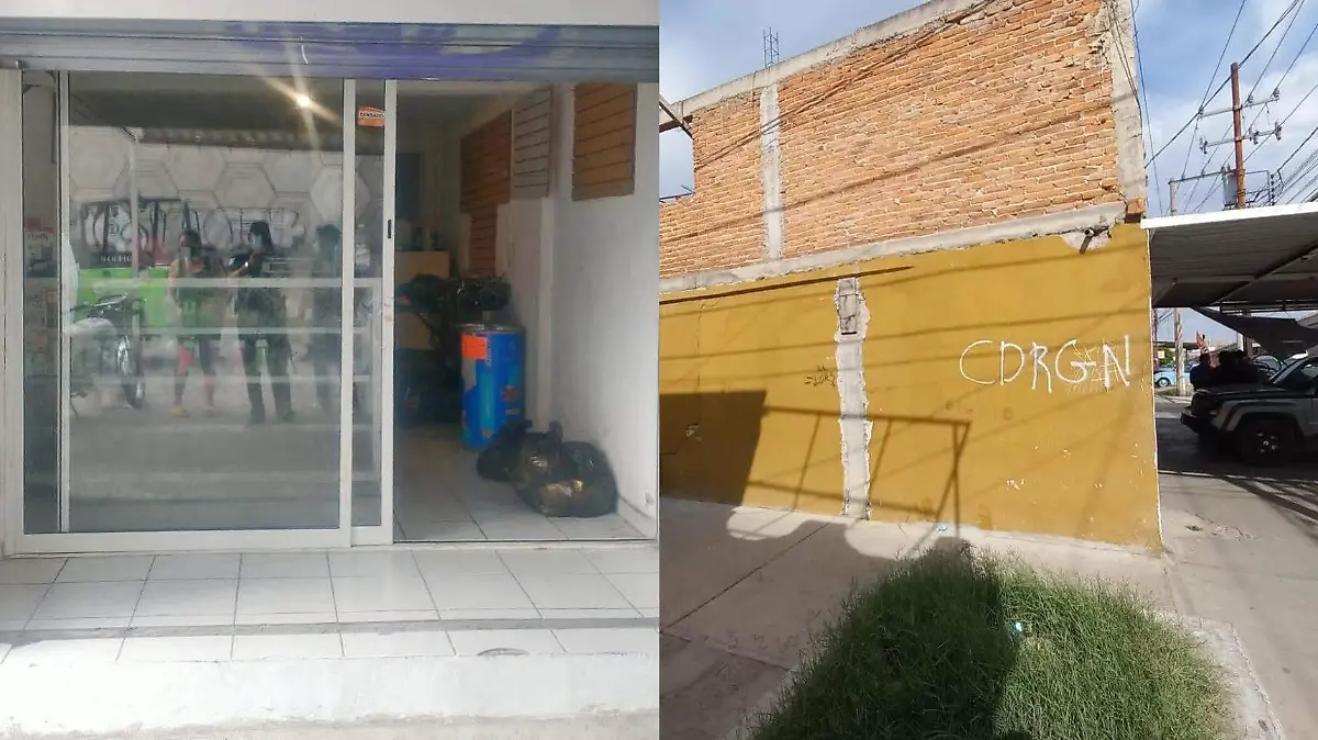animales muertos en soledad