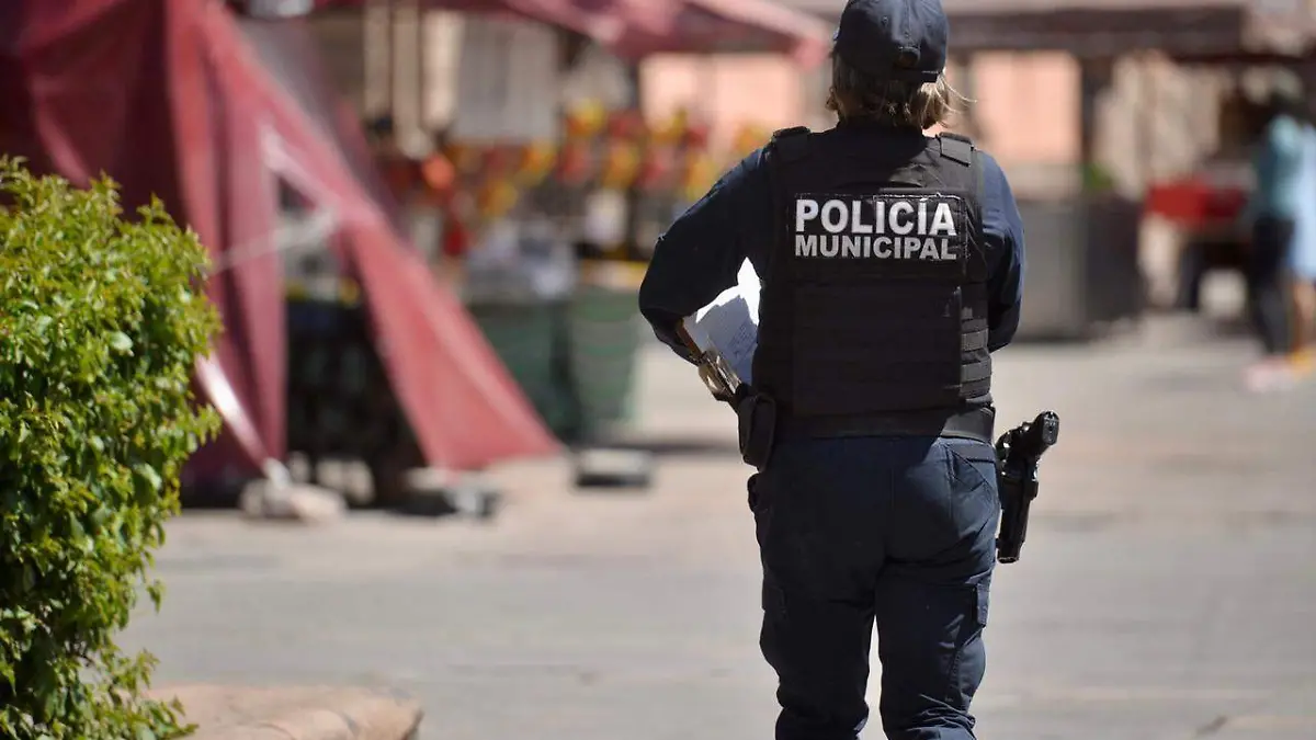 Policía, elemento (2)